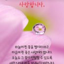 5월 9일(목) 70세 아들이 쓴 글을 옮겨 보았습니다. 이미지