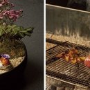 우리 고전 속 전통 민화 이미지