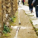 STEADY(스테디) 이미지