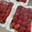 가나안농장2 이미지