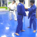 용인대정통유도관 이미지