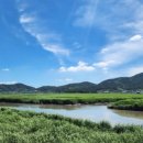 순천만 습지 이미지