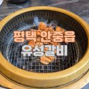 안현로 | 맛집 추천 / 평택 안중 맛집 유성갈비 안중점 방문 후기