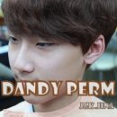 댄디라인 네이버블로그