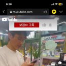 짜오띵 이미지