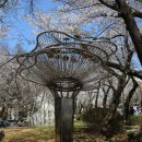 황선욱 화무 이미지