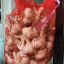 보라매공원 서울 국제정원 박람회 이미지