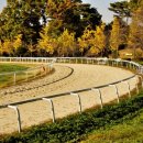 정자목장 이미지