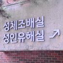 NR-29[내포로]-상-175 | 배티성지