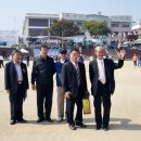 영월초등학교 이미지