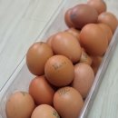 우리동네야채;과일