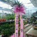 봉곡동080 이미지