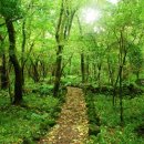 자연그리 이미지