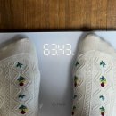 내돈내산 씨코랩 보름 후기 | 실제 복용 후 변화 체크