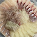 도계중앙시장 | 6시내고향 60초를 잡아라 돌멍게 감성돔회 횟집 알아보기