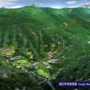 용인자연휴양림 이미지