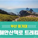 2024년 특별산행 두번째 _ 테마(운행차량 수정) 이미지