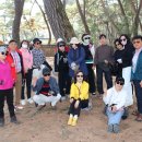 3.28~29 영월여행모임 3 // 운학님 사진수정 이미지