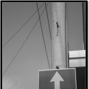 일방통행 이미지