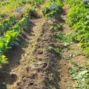 기두농장 이미지