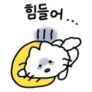 미즈피아