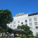 비치호텔 | 다낭 미케비치 네스타 호텔 수영장 상세 후기