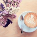 [원데이특강]하루커피 이미지