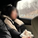 시청운동장 | [강서구/김포] '헤이더그린' 애견카페 메뉴, 분위기, 운동장 후기