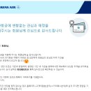 모닝캄 이미지