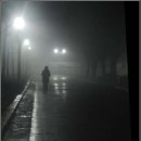 하루를봄 이미지