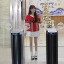 승희범퍼 이미지