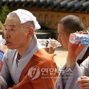 예주 이미지