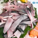 회食 이미지
