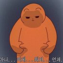 홍루이젠광주 이미지