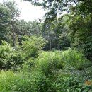 함라초등학교 이미지