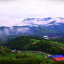 양은목장 이미지