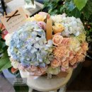 [개업 축하화환 사진]일산 축하화환집 꽃배달 배송사진-장항동 웨스턴돔꽃집 이미지