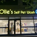 올리스24기장점 이미지