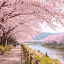 25시공인중개사사무소 이미지