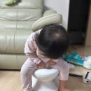 부산 동래구 사직동 사직 쌍용예가 유리창 청소 후기