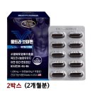에버그린 이미지