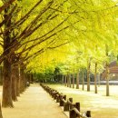 베스트렌트카 이미지