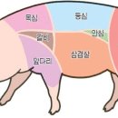 대란갈비 이미지