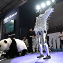 라인댄스 B(기초) 이미지