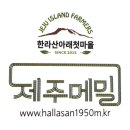 곱다시제주 이미지