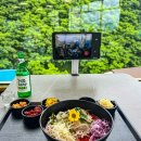 묵호 맛집 선창물회덮밥, 산과 바다 뷰에서 누리고 온 오징어물회 혼밥혼술 후기 내돈내산
