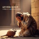 서초중앙로24길 55 이미지