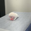 연그러운