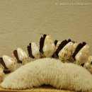 박물관횟집 이미지