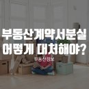 부동산 계약서 분실 어떻게 대처해야 하나요? 이미지